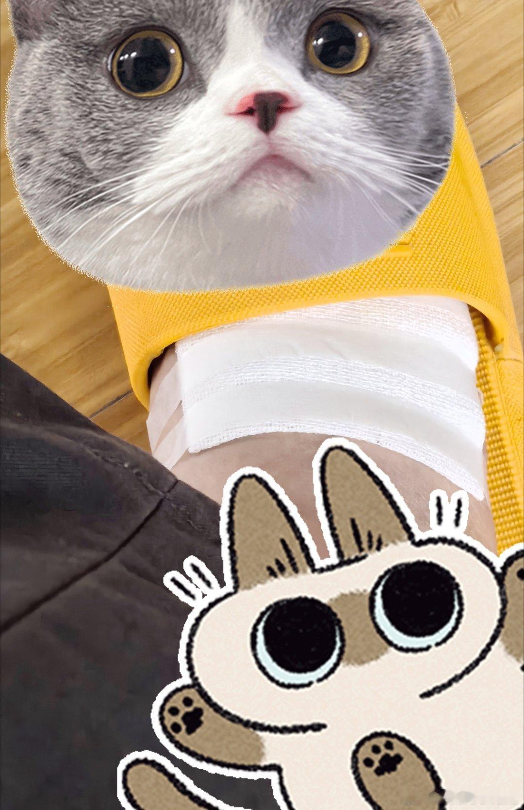 准高三生的老母亲有多卑微呢昨天早上脚被烫伤了前两天叫我在肯德基给他预约了一个啥周