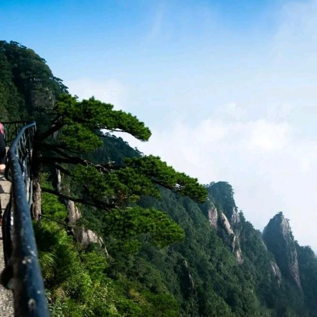问：海贤老和尚活到了112岁。为什么很多高僧是长寿？答复：海贤老和尚112岁，是