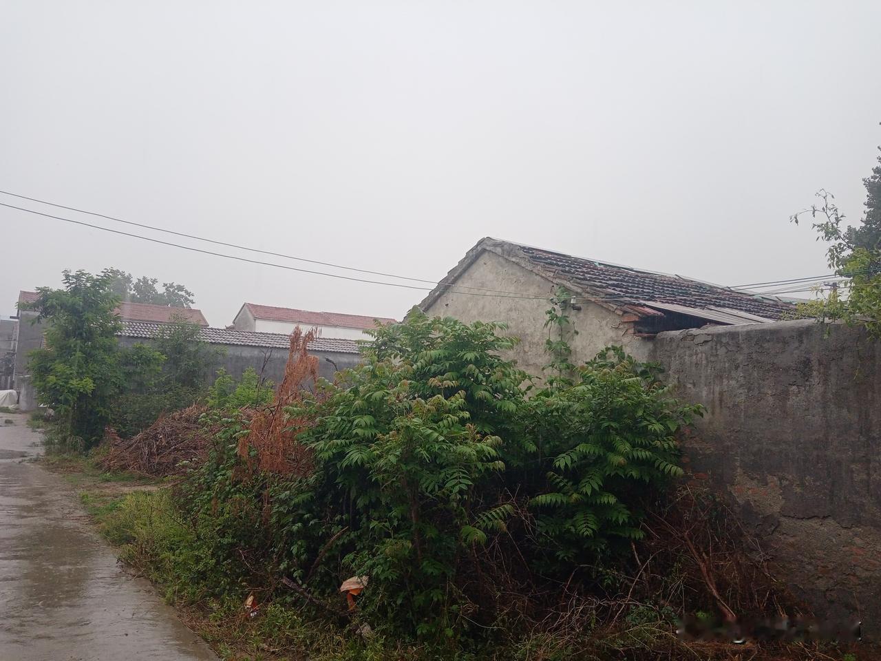 老话说
有雨无雨，就看四月二十三
四月二十三有雨六月旱
四月二十三雨淋头，六月三