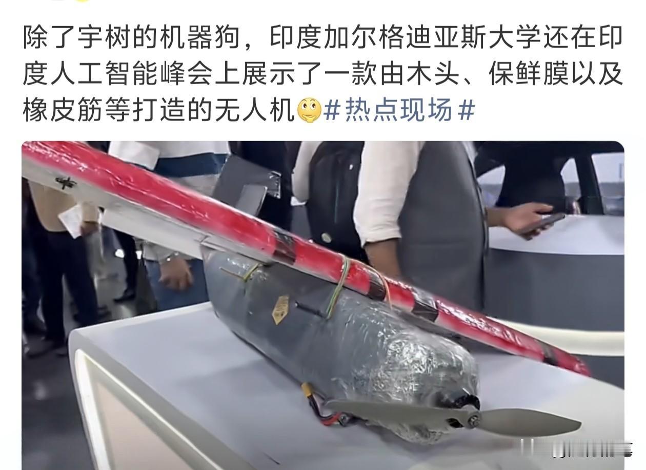 印度一大学居然在国际AI峰会里面展示木头无人机，这种情况真的只有在印度举办这种峰