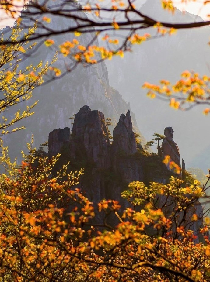 “ 黄山秋色 … ” 