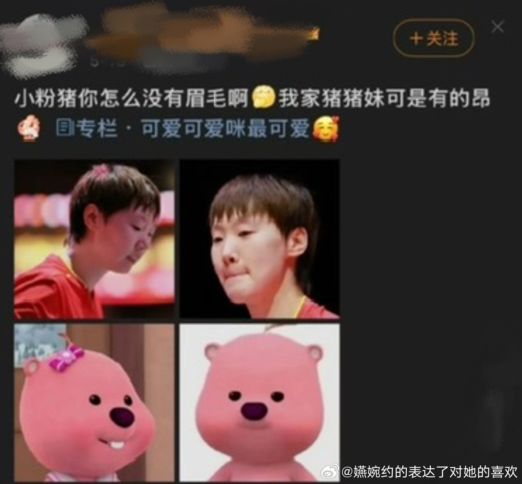 什么时候是loopy塑的，还是知道了孙颖莎是loopy塑之后开始是的呀