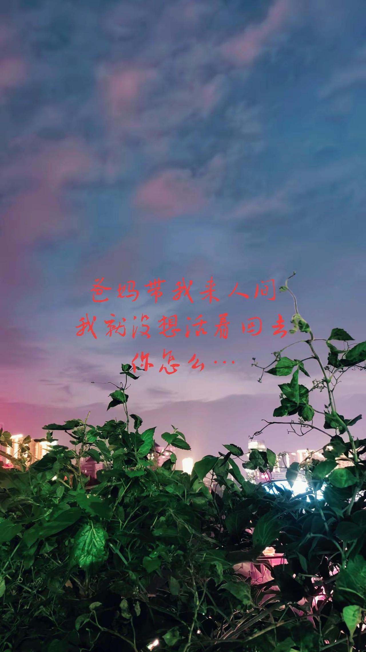 玩尽人间，再走。