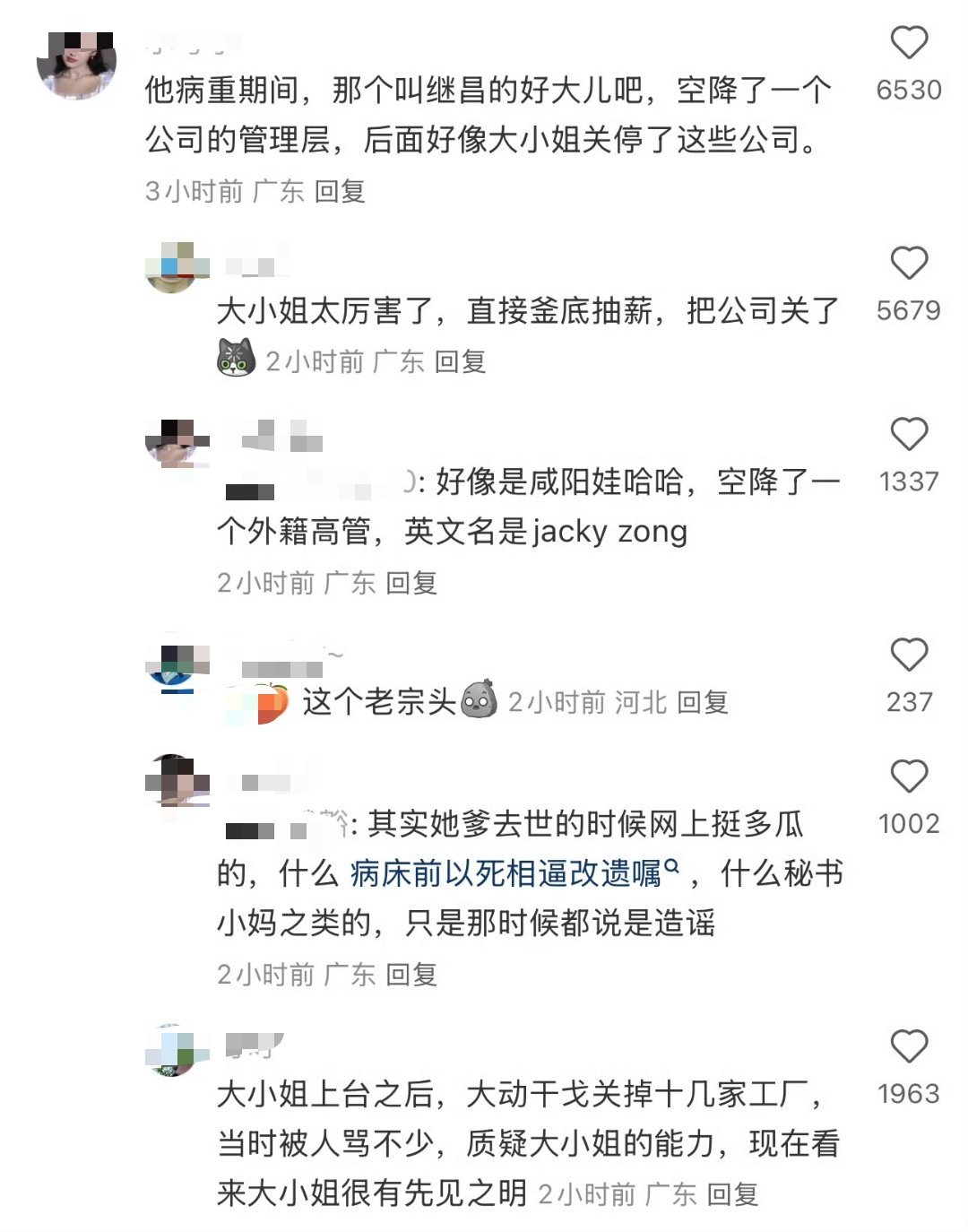 原来老头病重时有打算捧好大儿，让好大儿继昌空降哇哈哈的子公司，只不过大小姐厉害，
