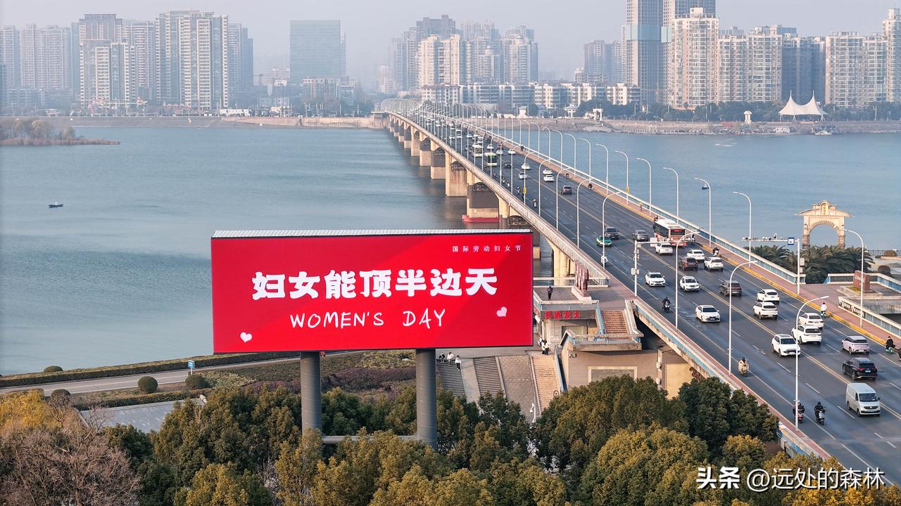 襄阳二桥头大屏硬核宠女生！这波表白我先接了！
 
这两天走在襄阳二桥头，直接被这