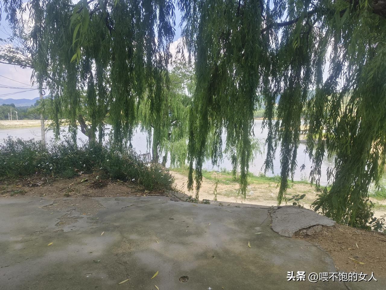 实话说，如果你在城市待惯了，你回到你自己的农村乡下，真的不想走了，这里太棒了。