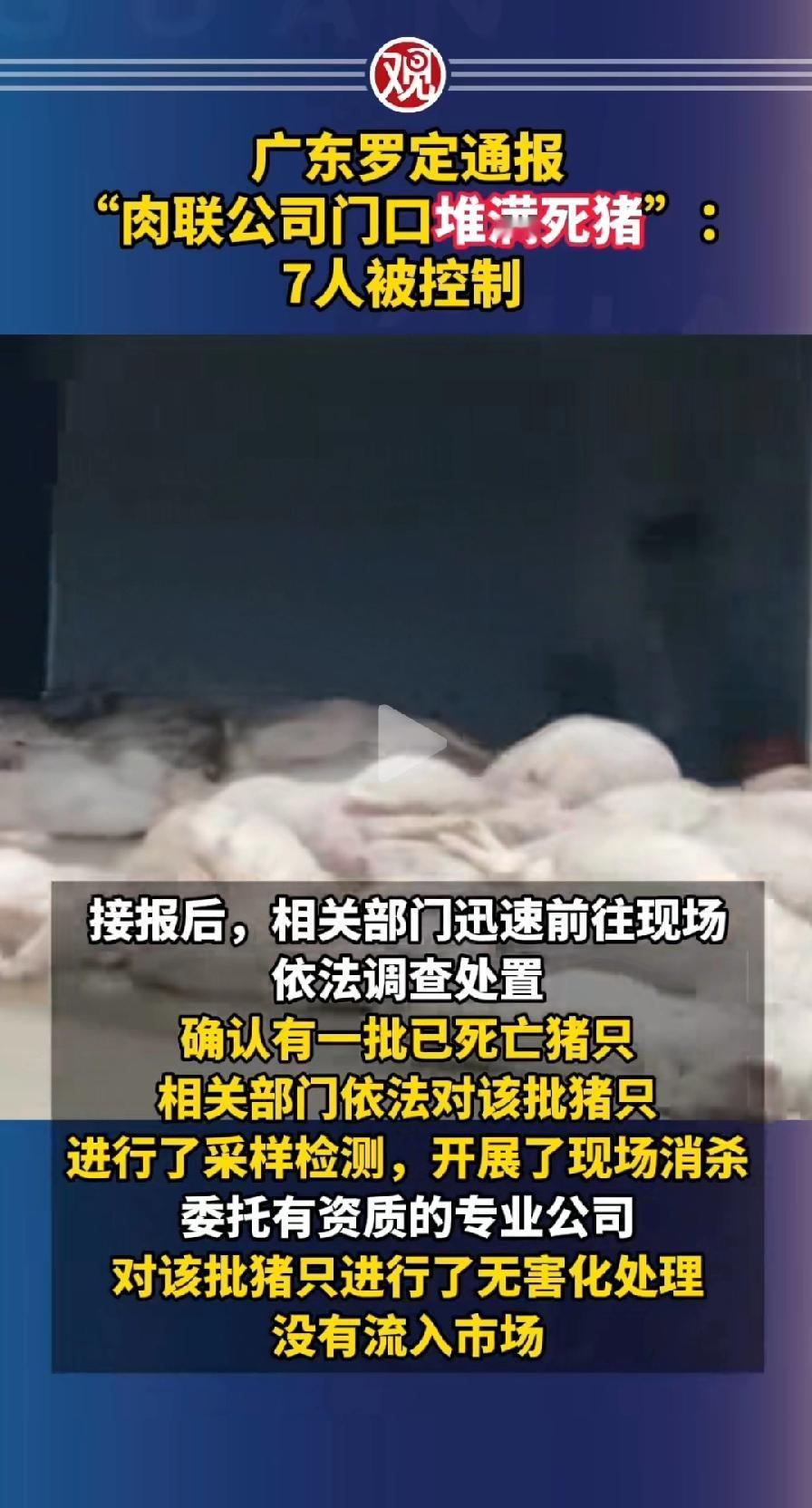 罗定肉联厂死猪事件，
死猪肉并没流入市场，
而是全部进行了无害化处理，
大家放心
