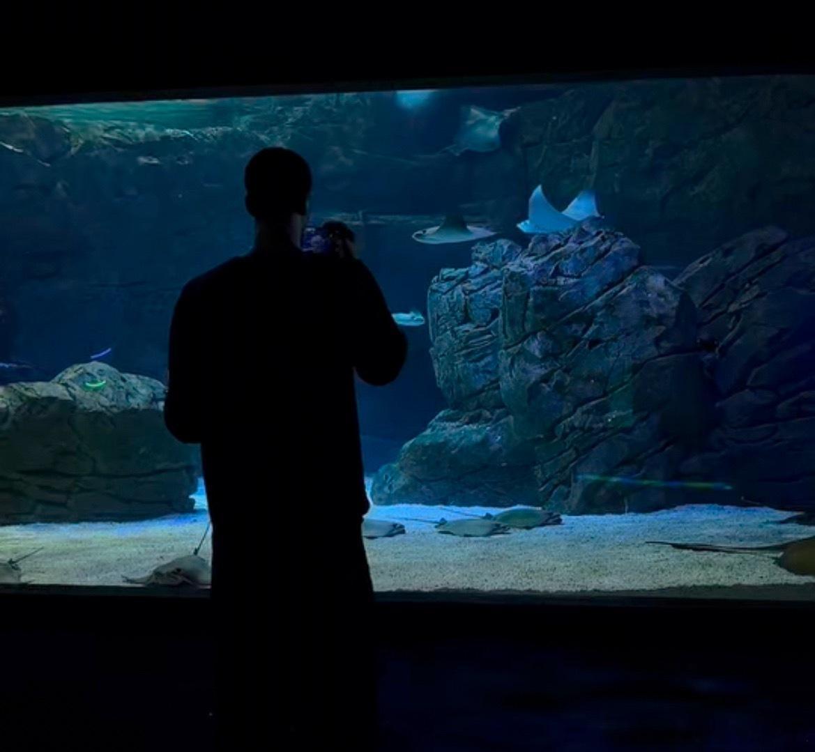 韦尔和女友在多伦多参观水族馆热火vs猛龙nba常规赛