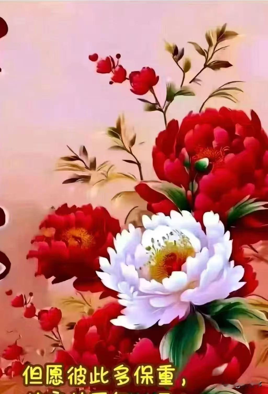 好花开盛厦.亲爱问候一下