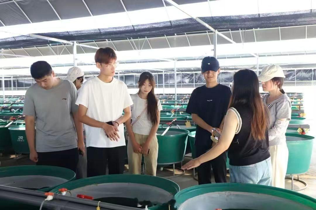 三下乡社会实践曲阜师范大学 【探访微湖产业文脉，青春调研助力乡村振兴】8月8日至