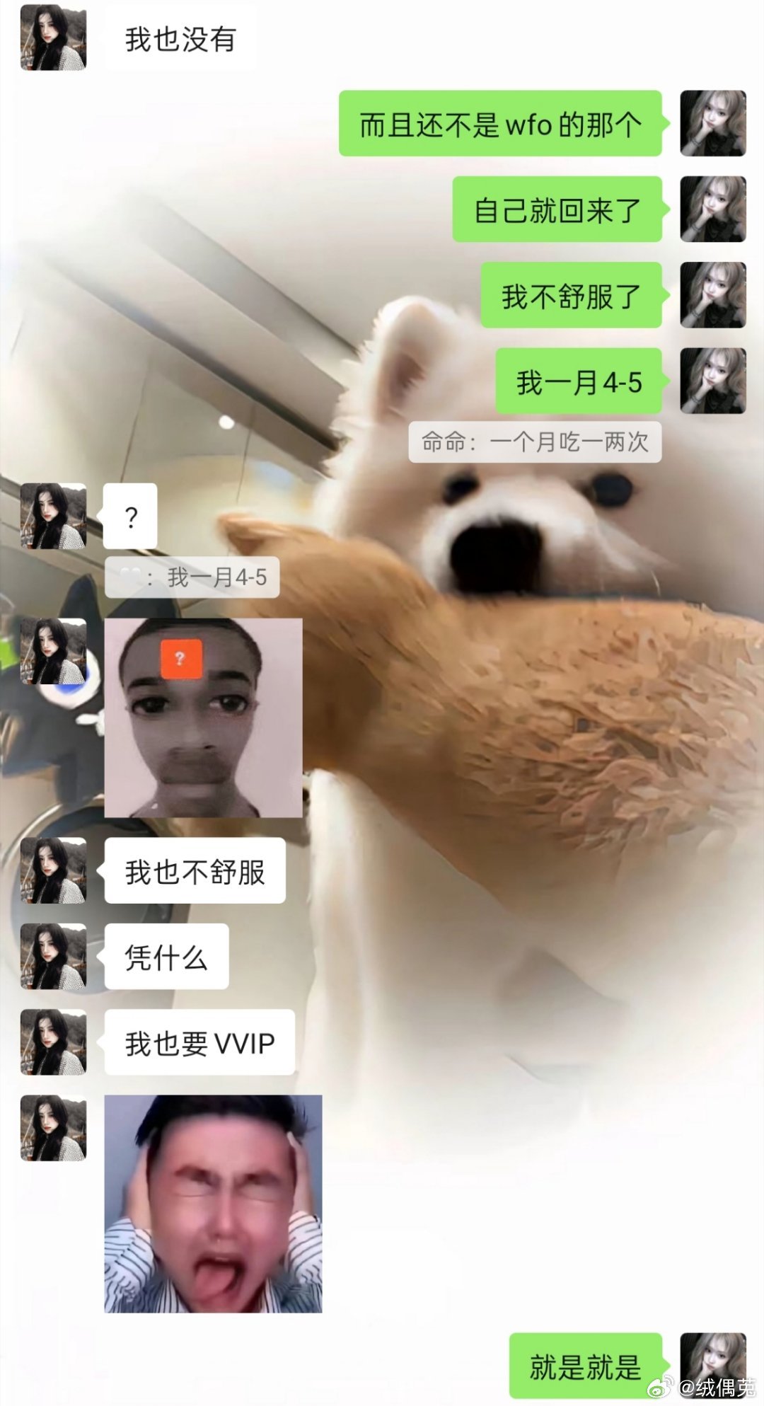 我们也要vvlp 