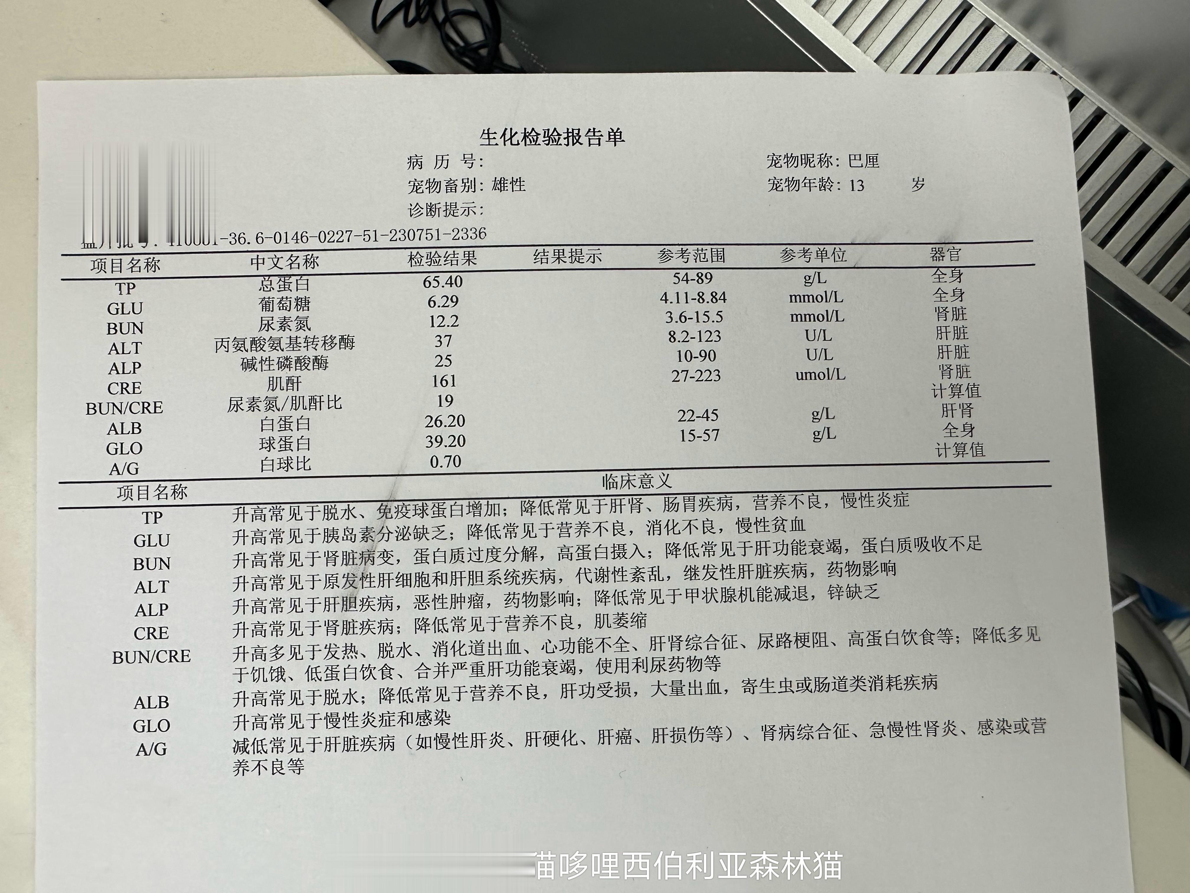 老大爷传腹毕业啦[打call][打call][打call][打call]因为舍不