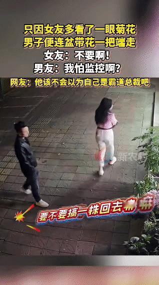 深夜街头，一名男子见女友多看了路边的一盆菊花两眼，二话不说就上前把整珠菊花拔了起