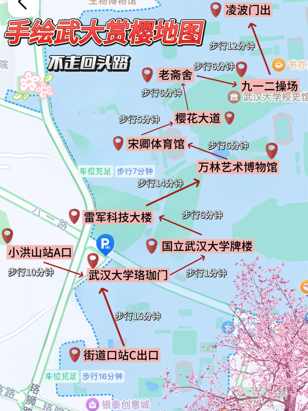 第一次去武大看樱花🌸看完这些建议再去