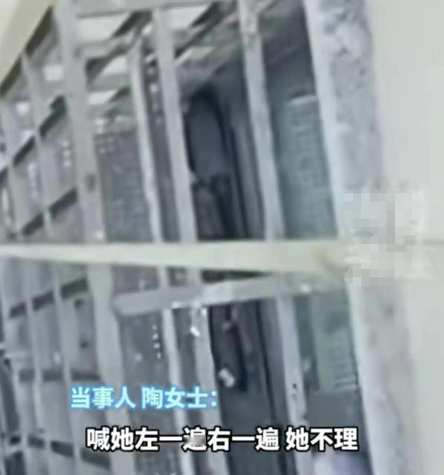合肥一小区，一位女子正在楼上高空作业，楼下竟来了位大妈拿刀割安全绳！生死关头，女