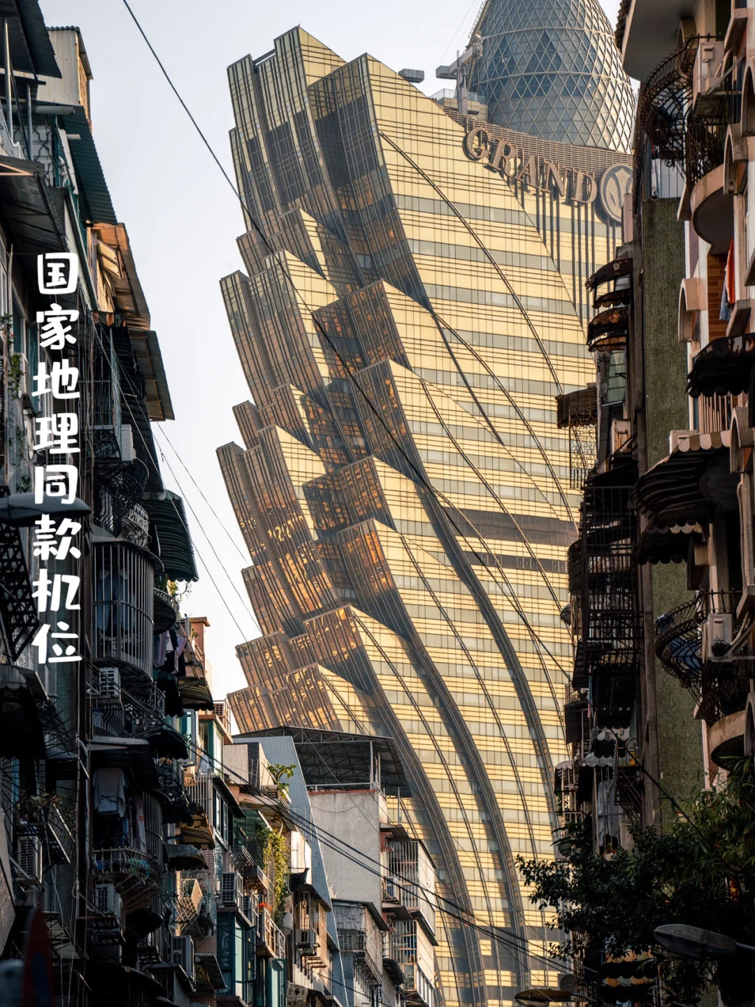 澳门🇲🇴新葡京不仅仅有国家地理同款机位