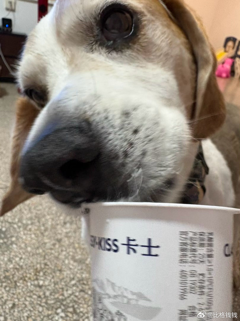 今日保养 