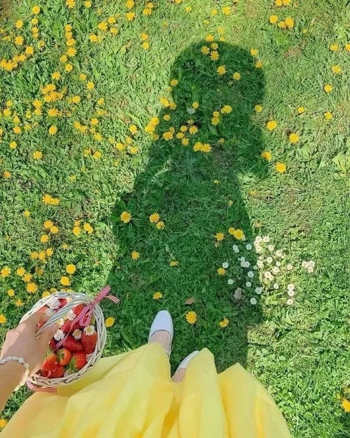 🔆 ༘◟💭✧❤️𓂃我喜欢阳光带给我的明媚，也喜欢微风带给我的自由 ​​​