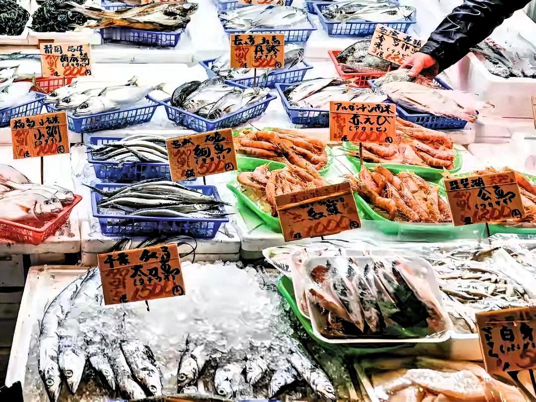 ：
 
1. 需日方补齐承诺的技术材料：此前中方有条件恢复进口，核心前提之一是日