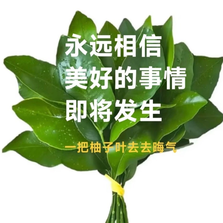 一把柚子叶 去去晦气 