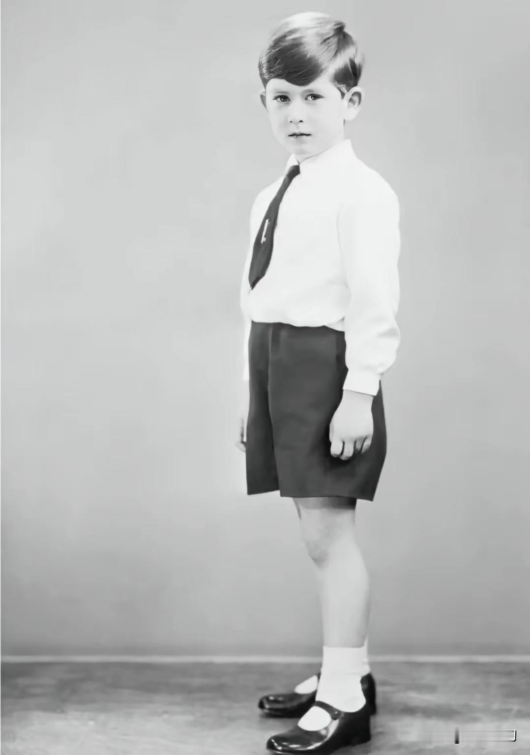 英国王储查尔斯，全名查尔斯·菲利普·阿瑟·乔治，1948 年出生，是伊丽莎白二世