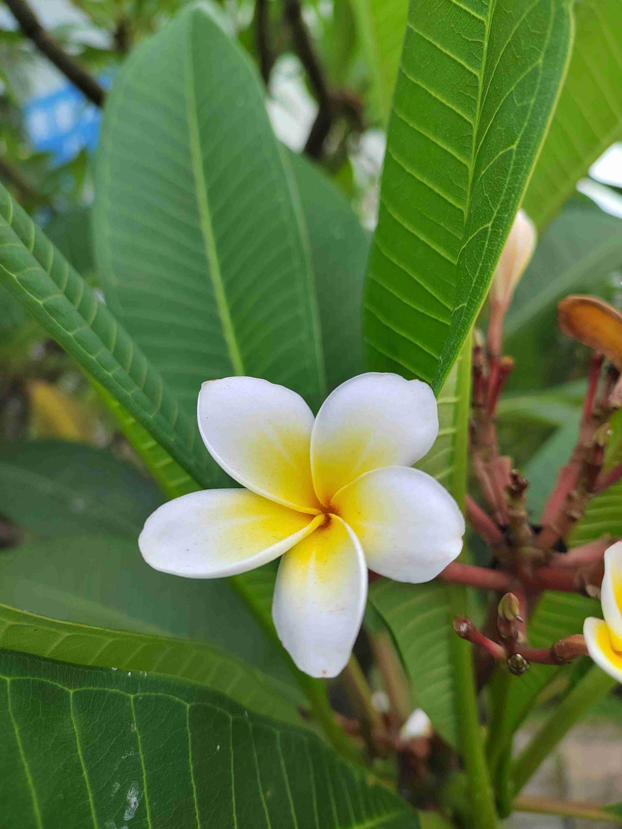 我的今日状态：😁轻松愉快
我这里的天气：☀️晴天