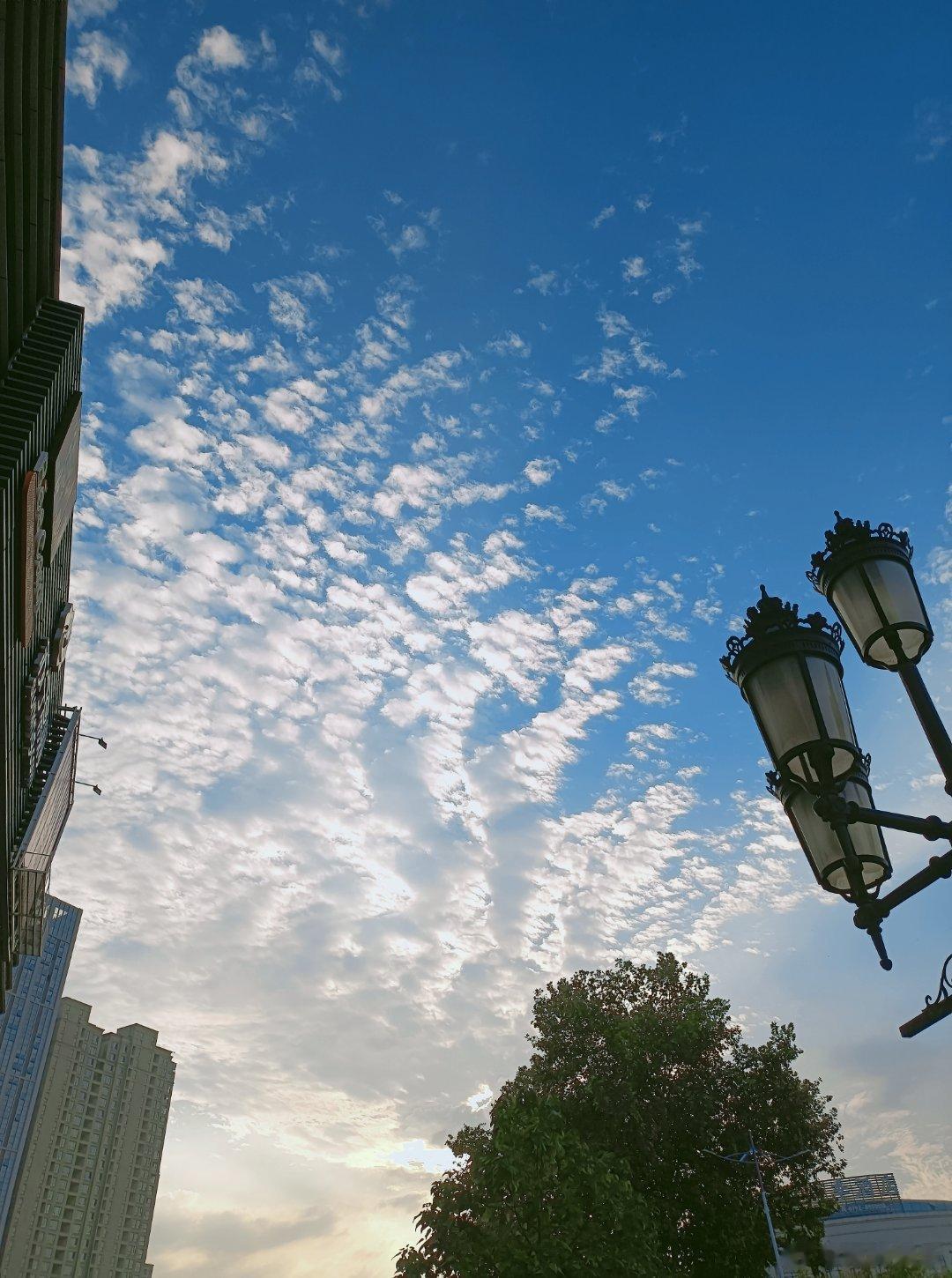 今天下班拍到很美的云彩，以及不知名的果子。生活很美好，只要用心发现，你就能看到美