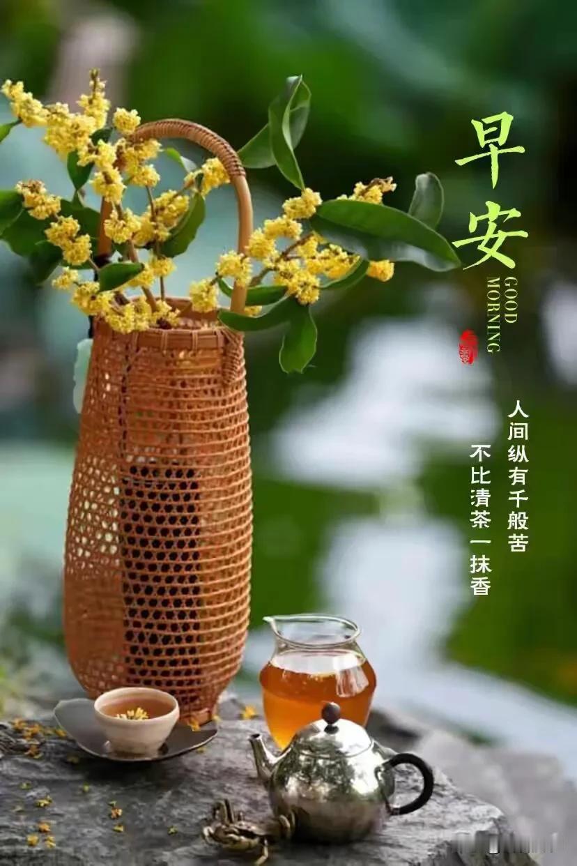 抛开昨日烦恼，今日只收藏温柔与欢喜，清晨安康。