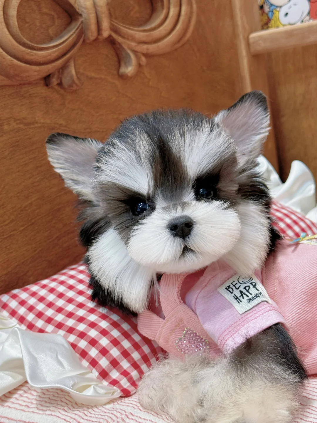粉色小狗🎀