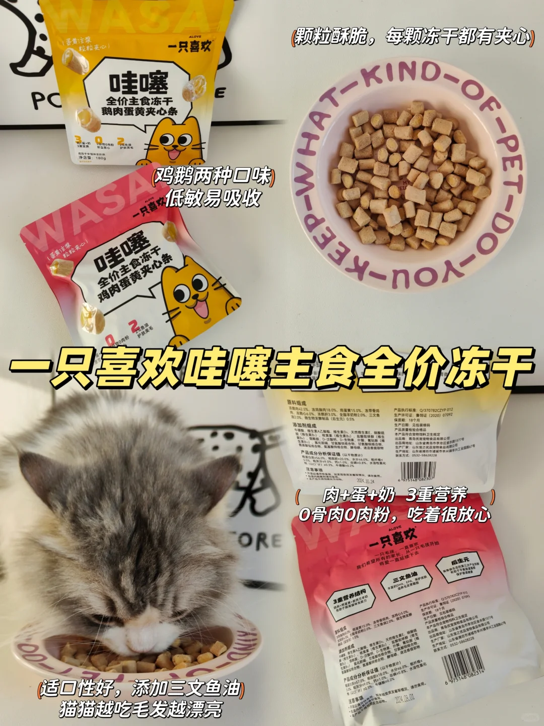 11月｜养猫の好物分享