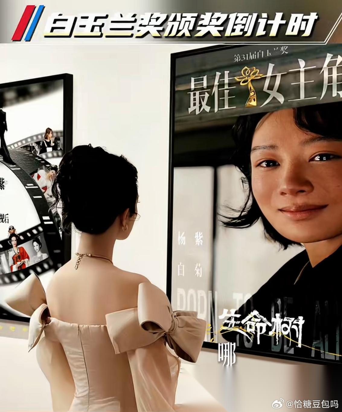 杨紫拿不拿玉兰奖最佳女主角， 这个事情我不敢保证。 但有一个事情我很确定的是，杨