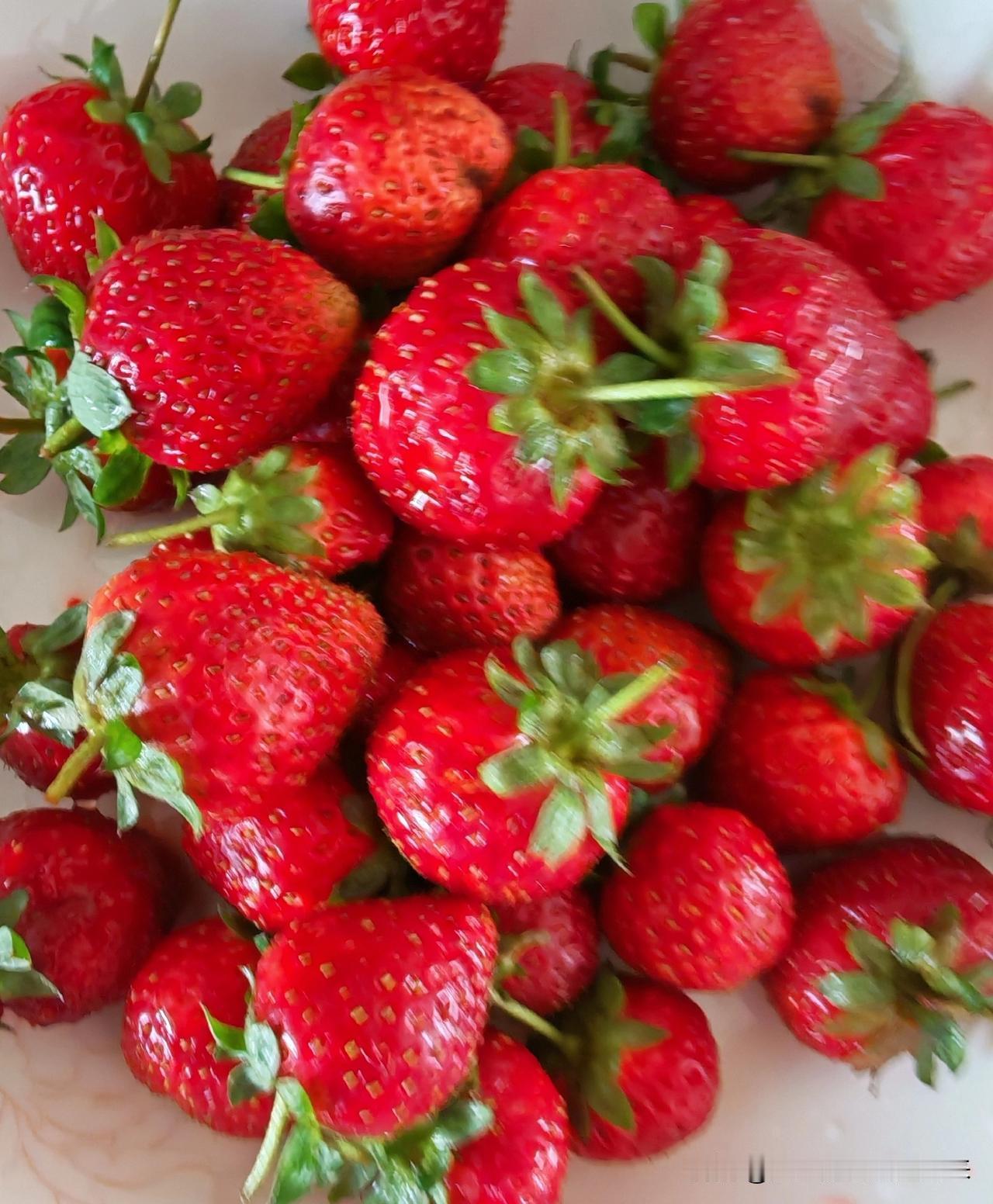 真心话茶局草莓🍓🍓🍓
