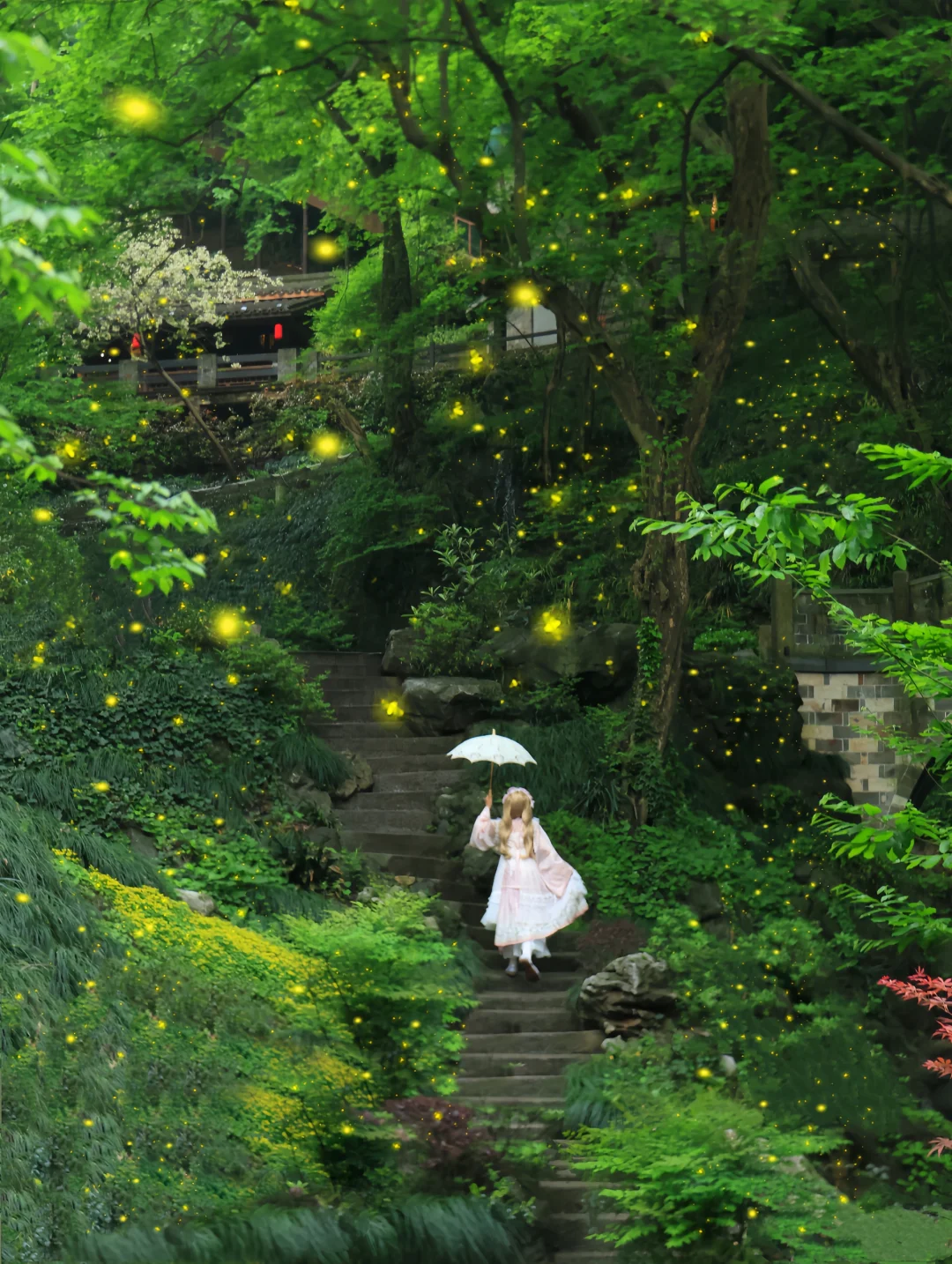 今年去过最宝藏的地方！我很怕它火…😭live