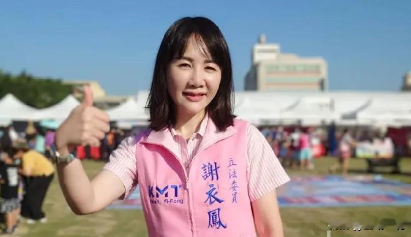 谢典霖自爆2300平豪宅引关注 胞姊谢衣鳯切割“与我选县长无关”

彰化县议会议