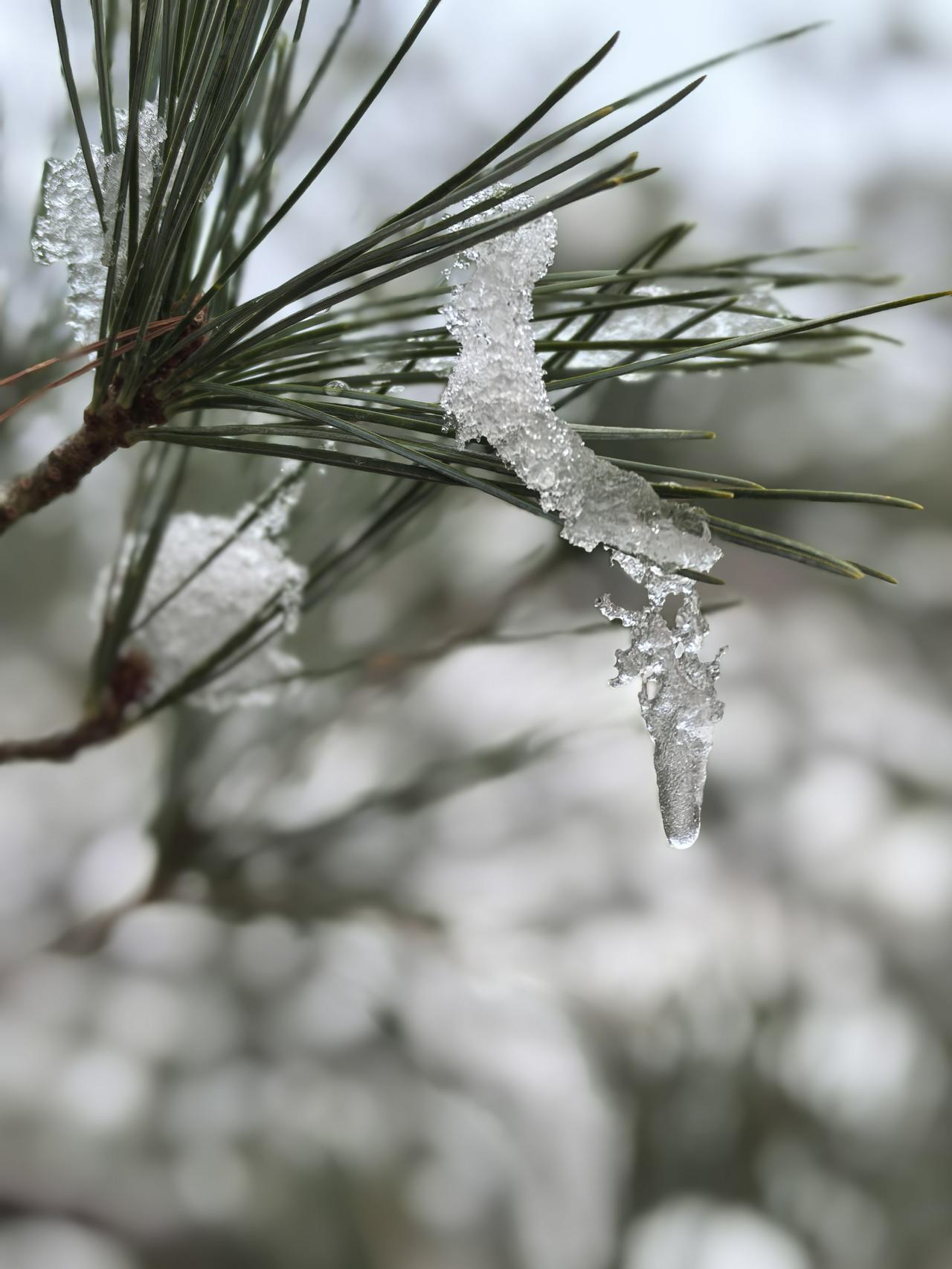 让优质文艺作品为年轻人“护航”
 
在十四届全国人大四次会议开幕之际，全国政协委