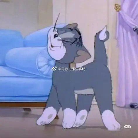 这个版本的汤姆好可爱好小猫～🐱🐱 