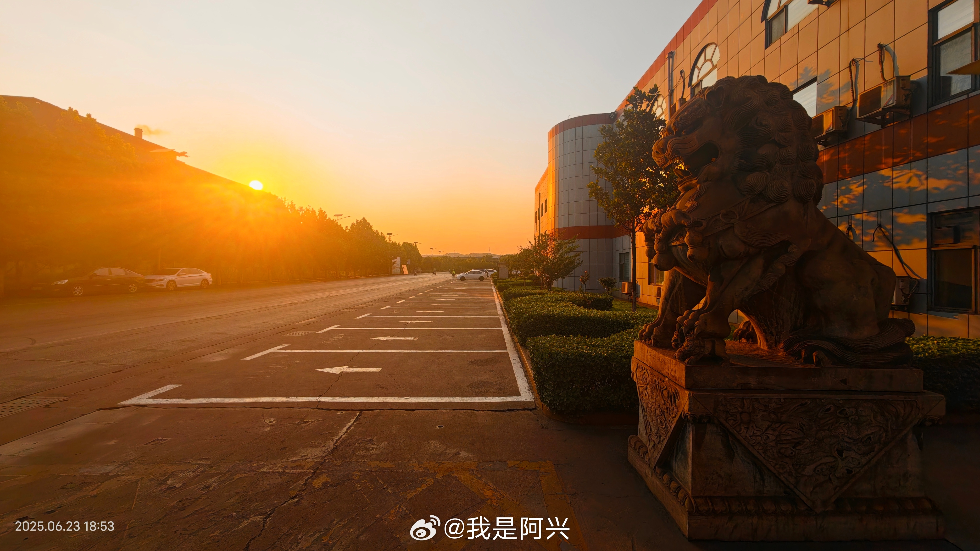 粉丝用vivo X200 Ultra拍的两张逆光照片，太好看了。 ​​​