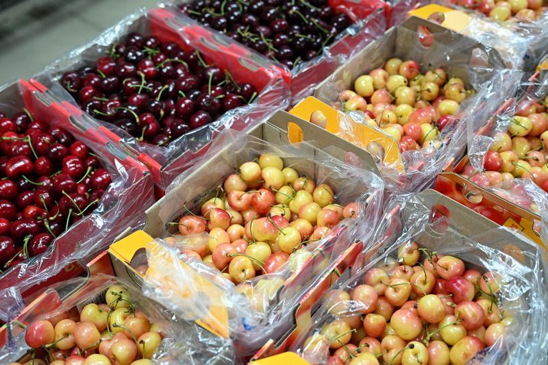 车厘子批发价大跳水，真是水果界的大新闻！2024 - 2025产季智利车厘子大丰