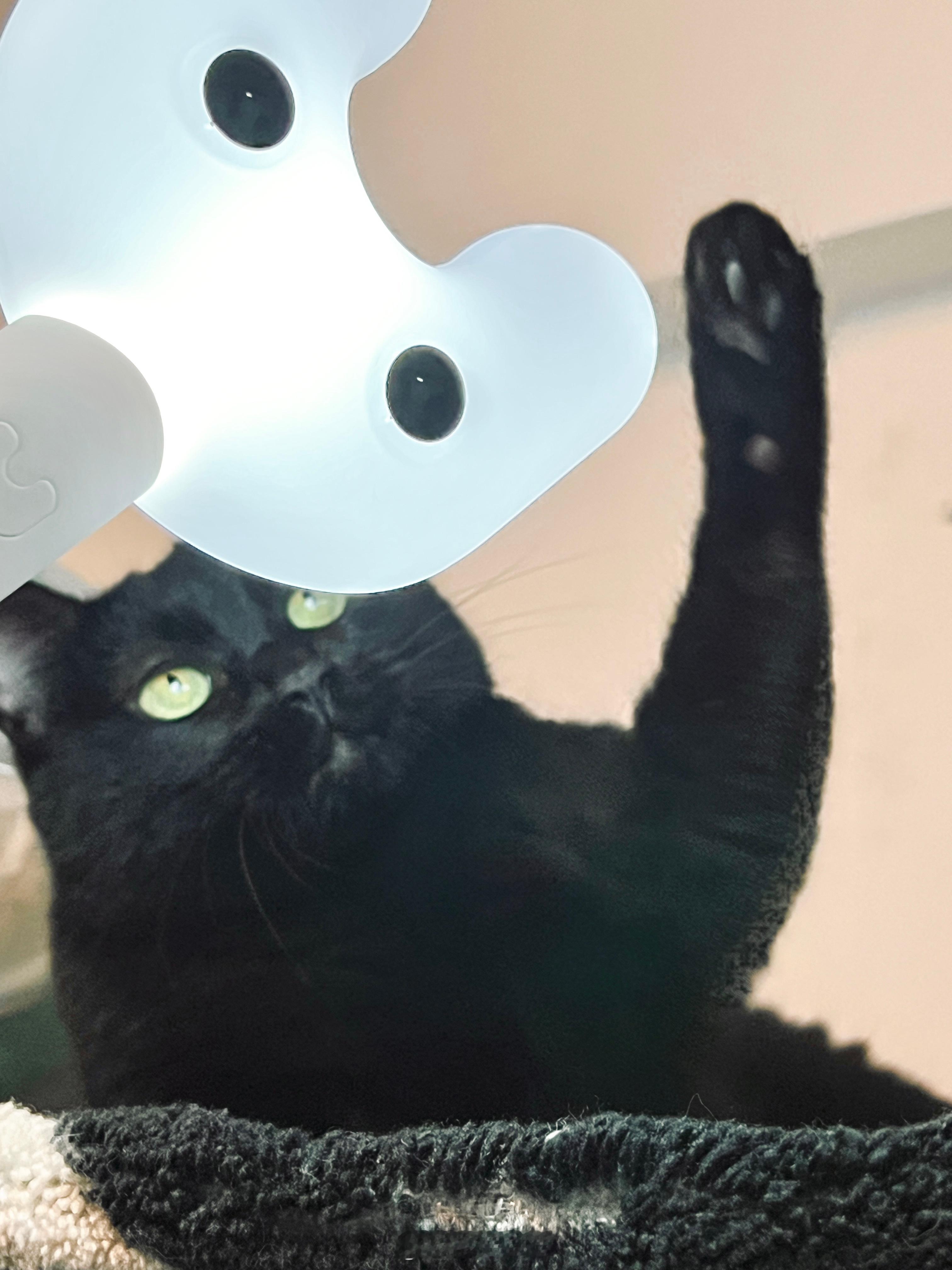 打打！#蝦蝦不可以太可愛# ​​​