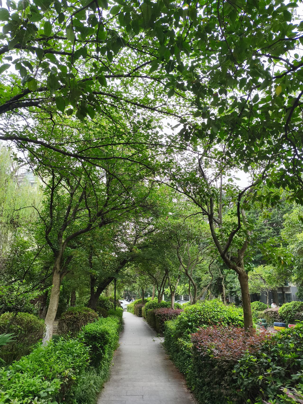 虽然南京这两天下雨，比较凉快，但是南京这 40 天的加长版三伏天真的会很热吗？和