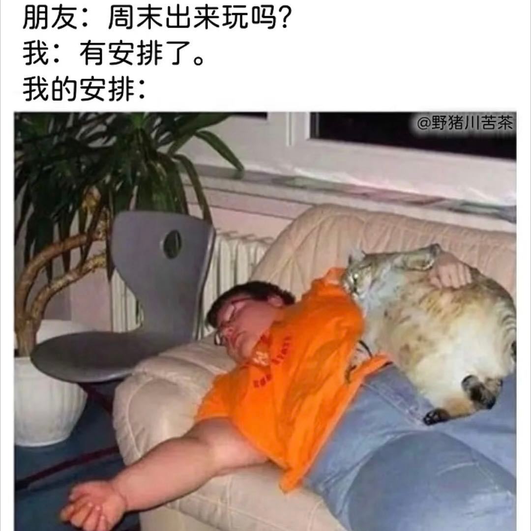 周末计划vs实际周末 早早规划好出门打卡、放松身心，结果全程宅家不动弹。卸下精致