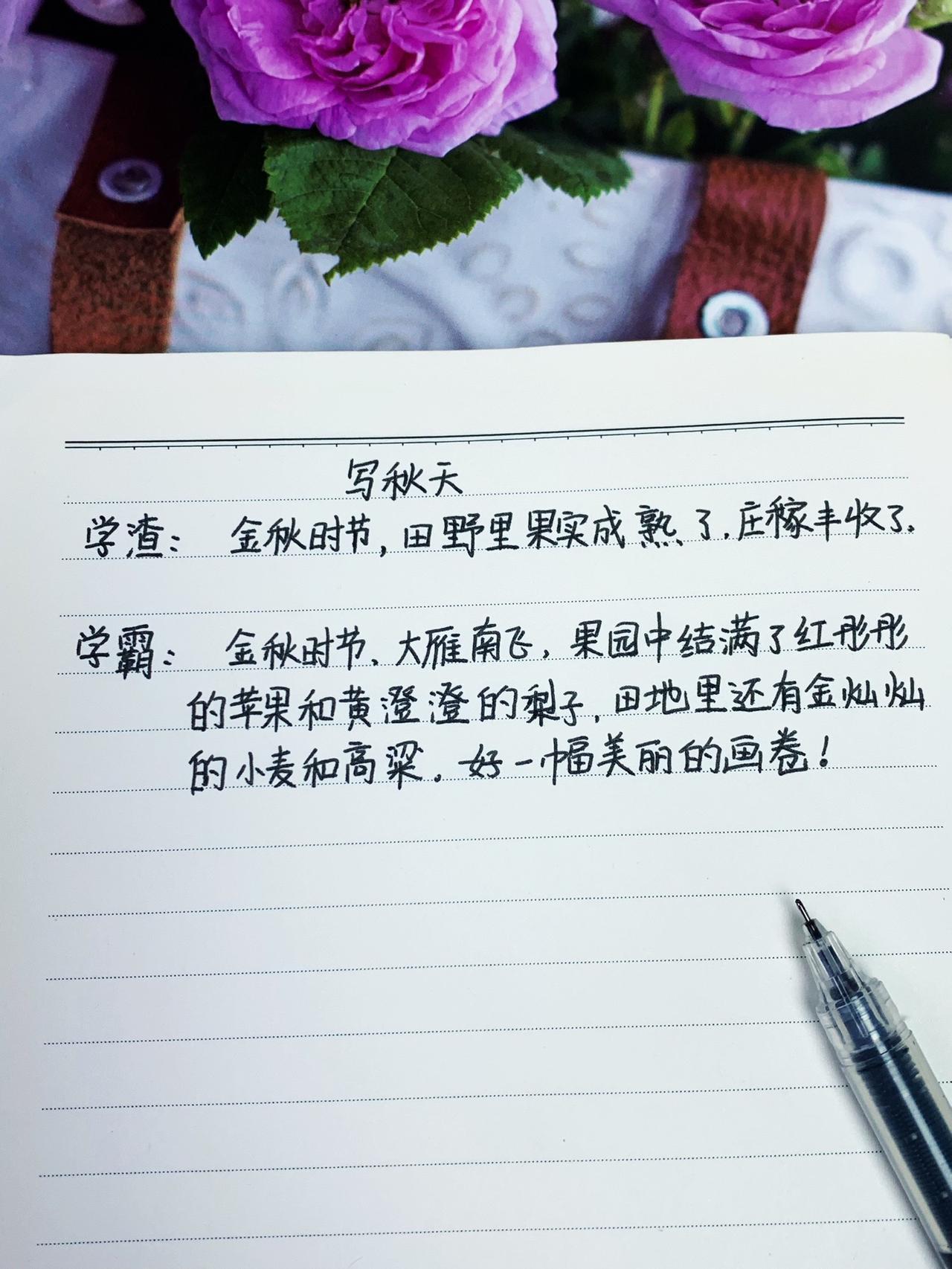 一二年级#看图写话 是重点，跟着课本学看图写话，三步教会孩子写作技巧，每天读一读