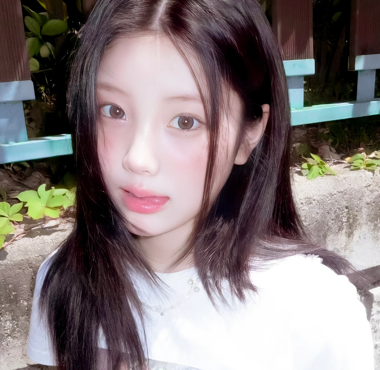 𝓼𝓱𝓪𝓻𝓮 ｜自用微信头像审美积累 ​​​