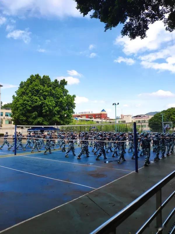 大一军训，那体验简直绝了！站在烈日下，我真正感受到了集体的凝聚力。大家一起踢正步