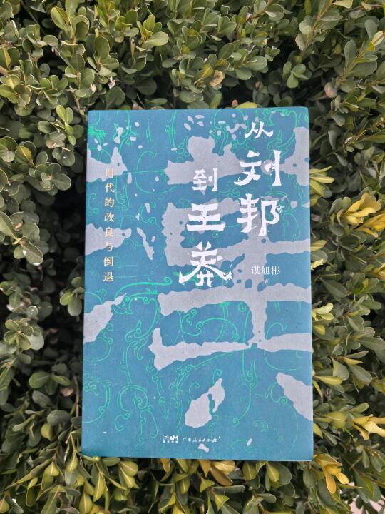 《从刘邦到王莽》：西汉独以强亡的逻辑