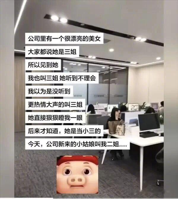 是因为太蠢所以被其他人叫二姐吗？ ​​​