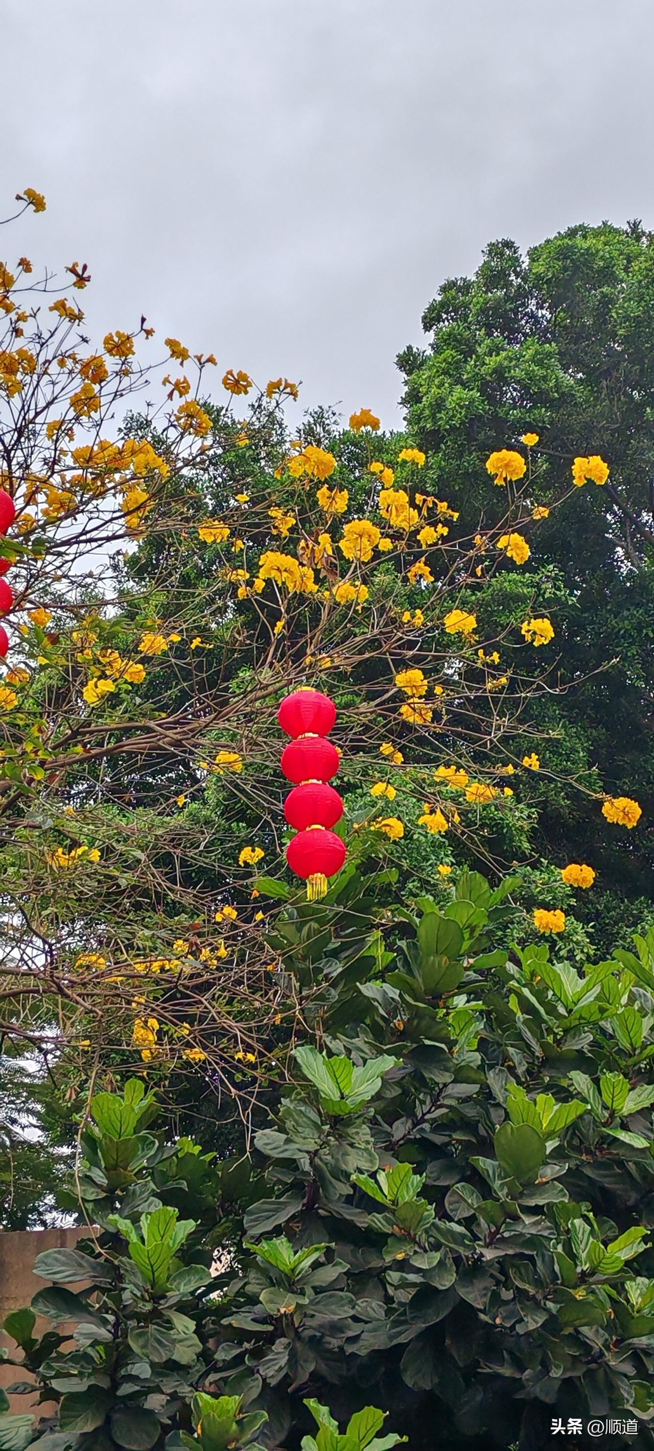 一个小伙子记录了他过年回家吃两次年夜饭的经历。
过年了，小伙子登上了回家的列车。