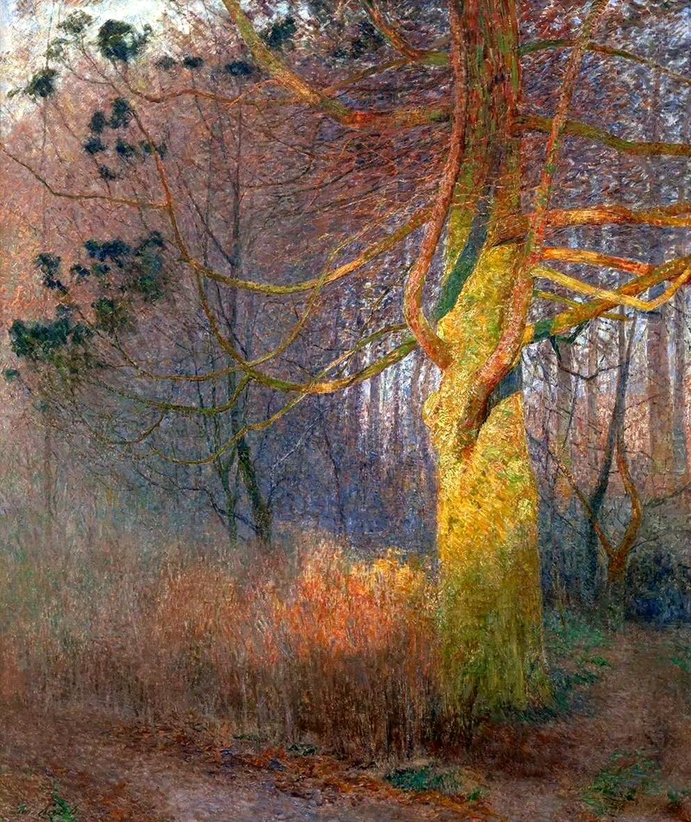 阳光下的树
Emile Claus (1849–1924) ​​​