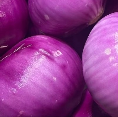 0000洋葱的种植方法一、品种选择：根据当地气候和种植季节选种，如在长江流域，可