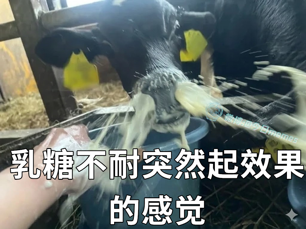 我窜（9gag）今日meme今日memes